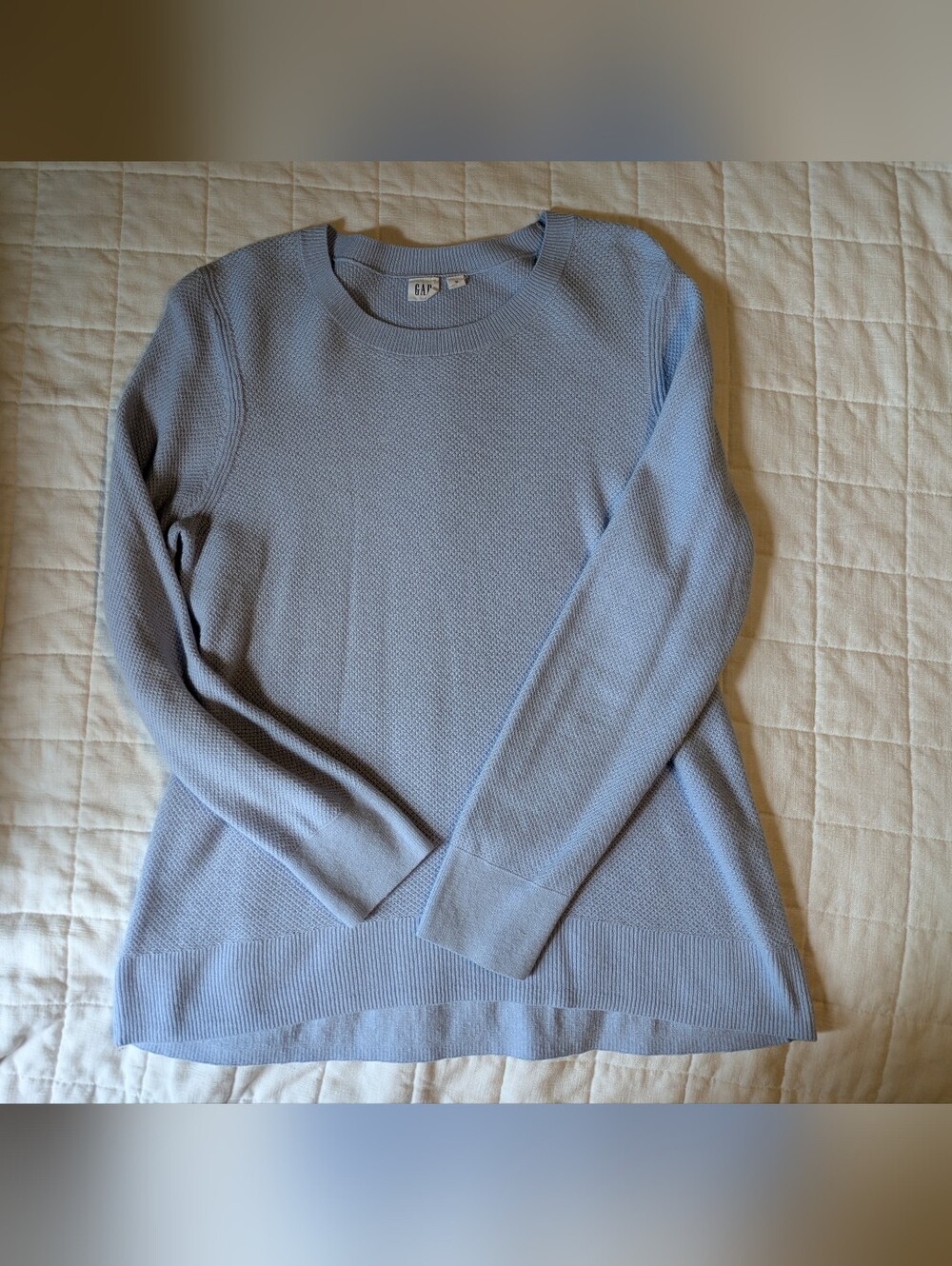 GAP Women's Pale Blue Crewneck Textured Sweater